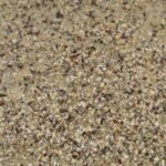 Cycle Seeds Knäckebrot