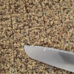 Lyn Cycle Seeds Knäckebrot